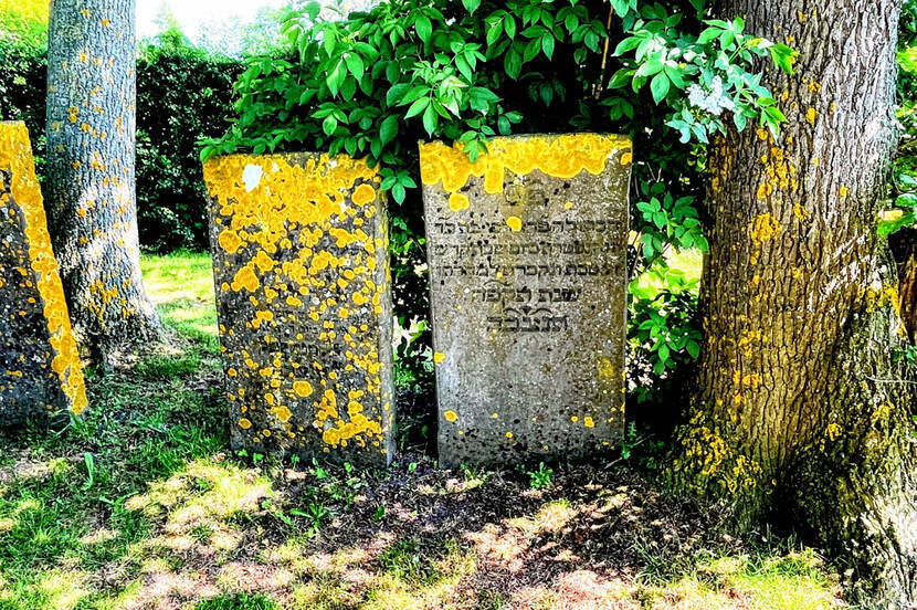 Joodse grafstenen bedekt met mos